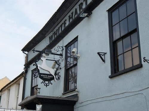 ホテルThe White Hart カロンプトン エクステリア 写真